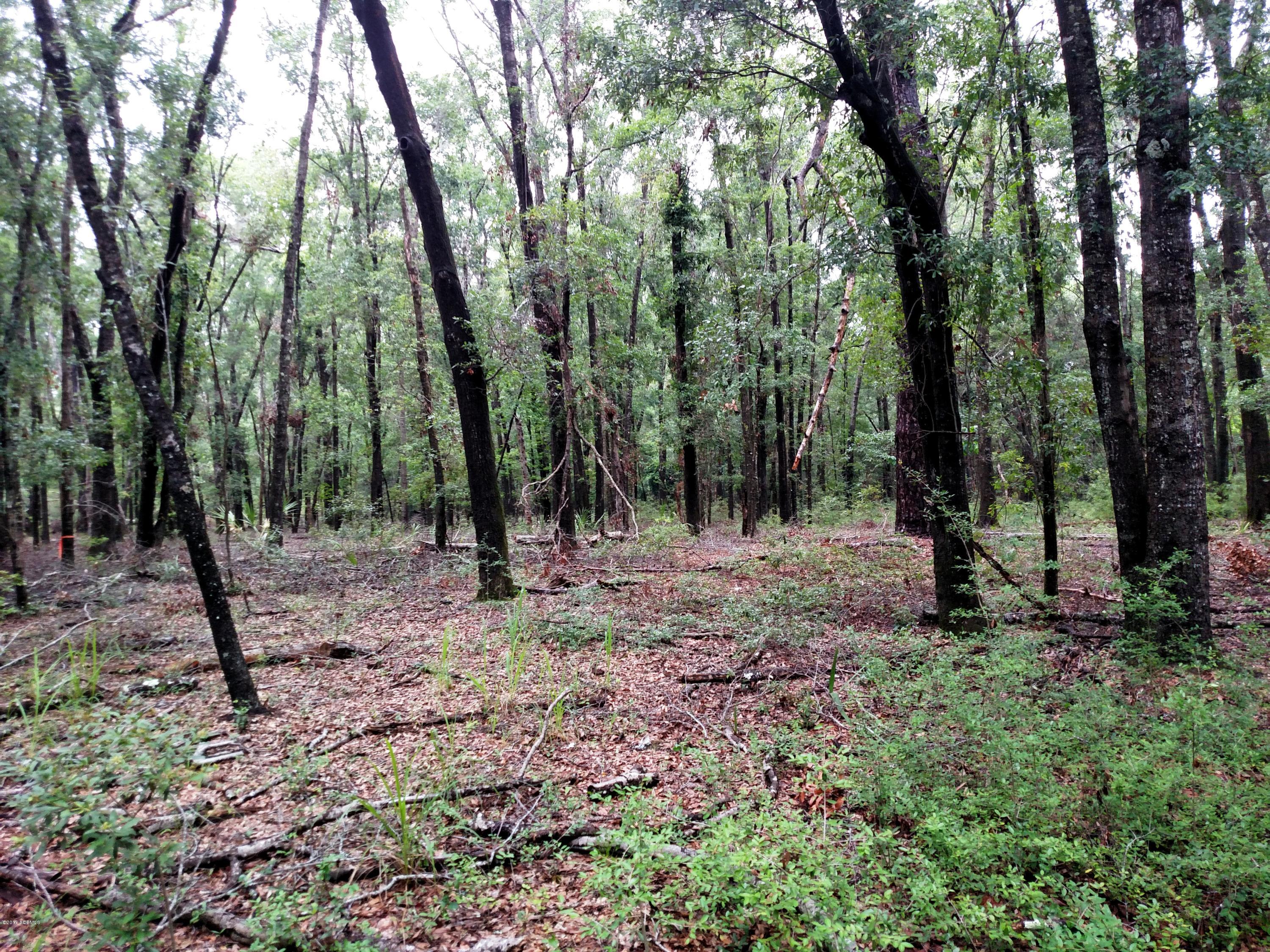 148 Brickyard Point Road North Beaufort, SC 29907 - Photo 5 of 7 Brickyard Point Rd N
