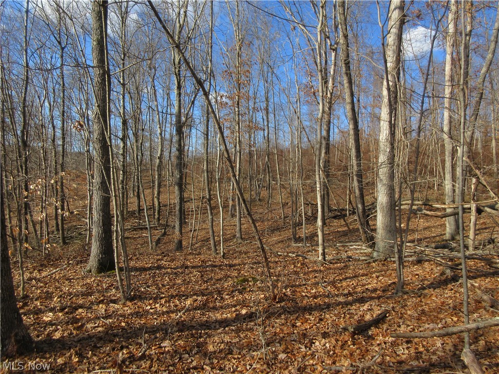Green Valley Road Guysville, OH 45735 - Photo 7 of 15 Gallery Image 7