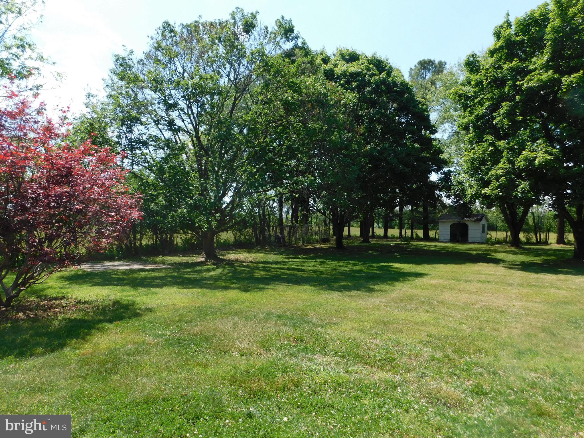 1225 Kimble Road Berryville, VA 22611 - Photo 25 of 27 Backyard