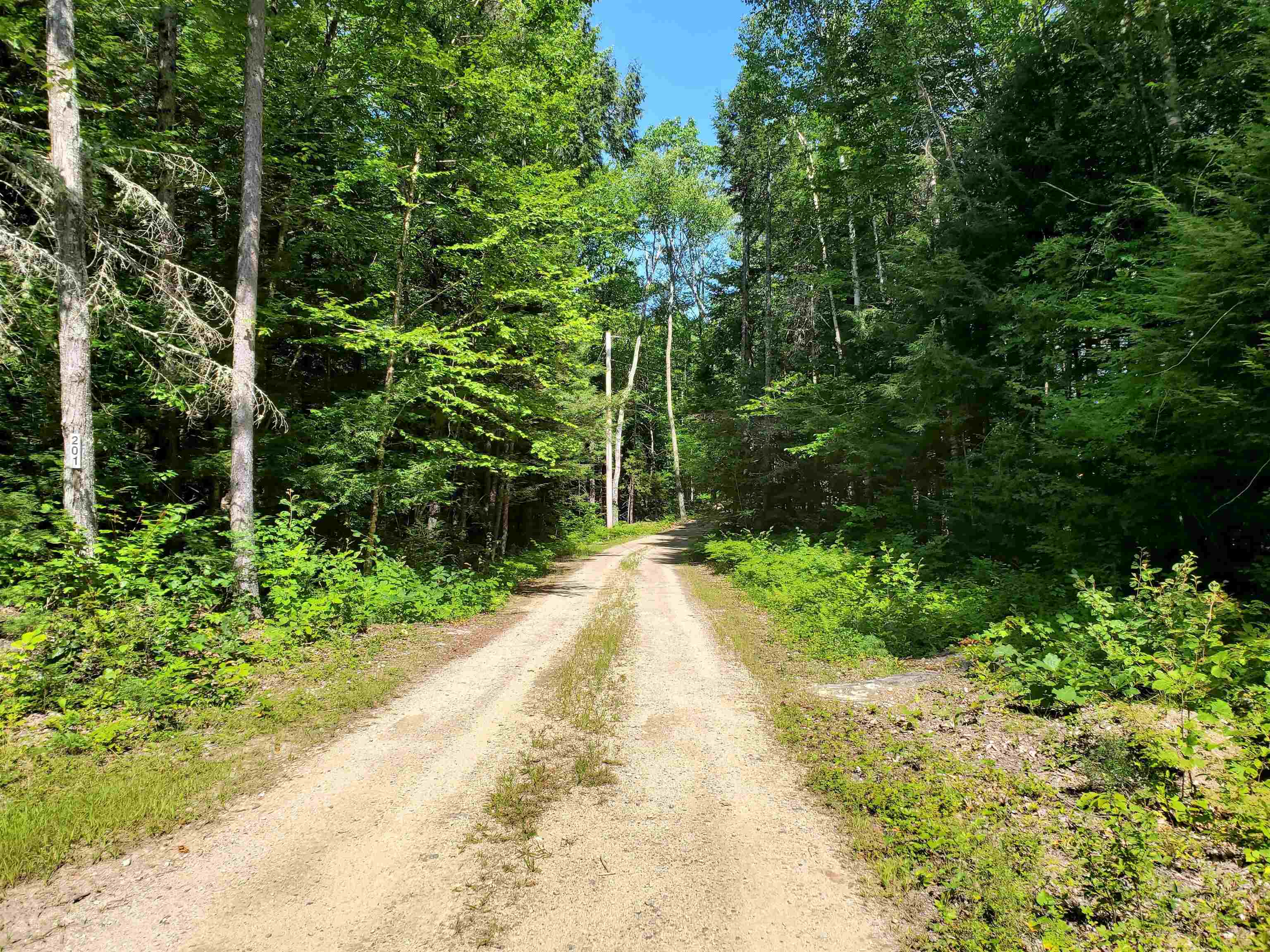 201 Hannah Road Sandwich, NH 03259 - Photo 31 of 39