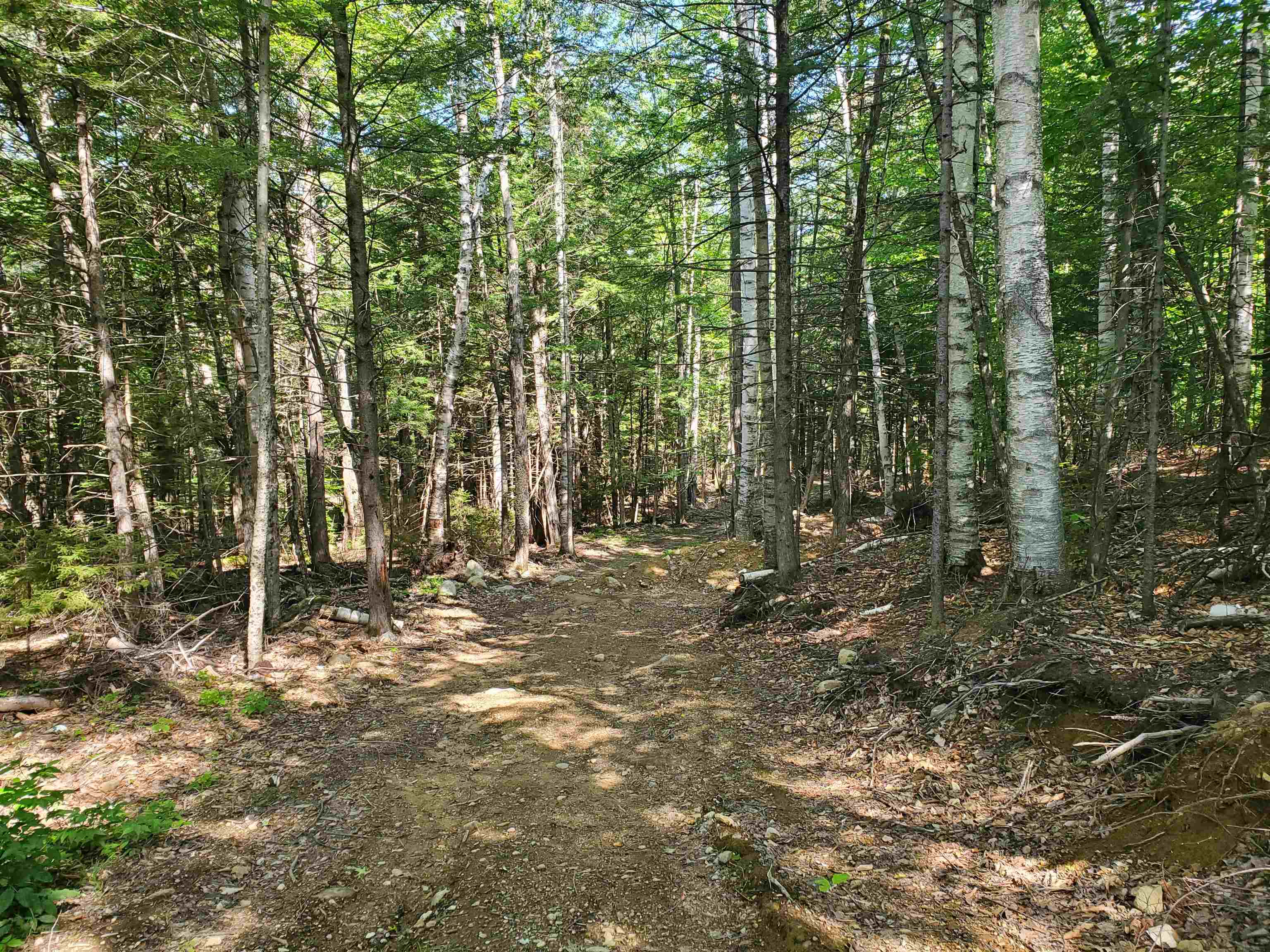 201 Hannah Road Sandwich, NH 03259 - Photo 34 of 39