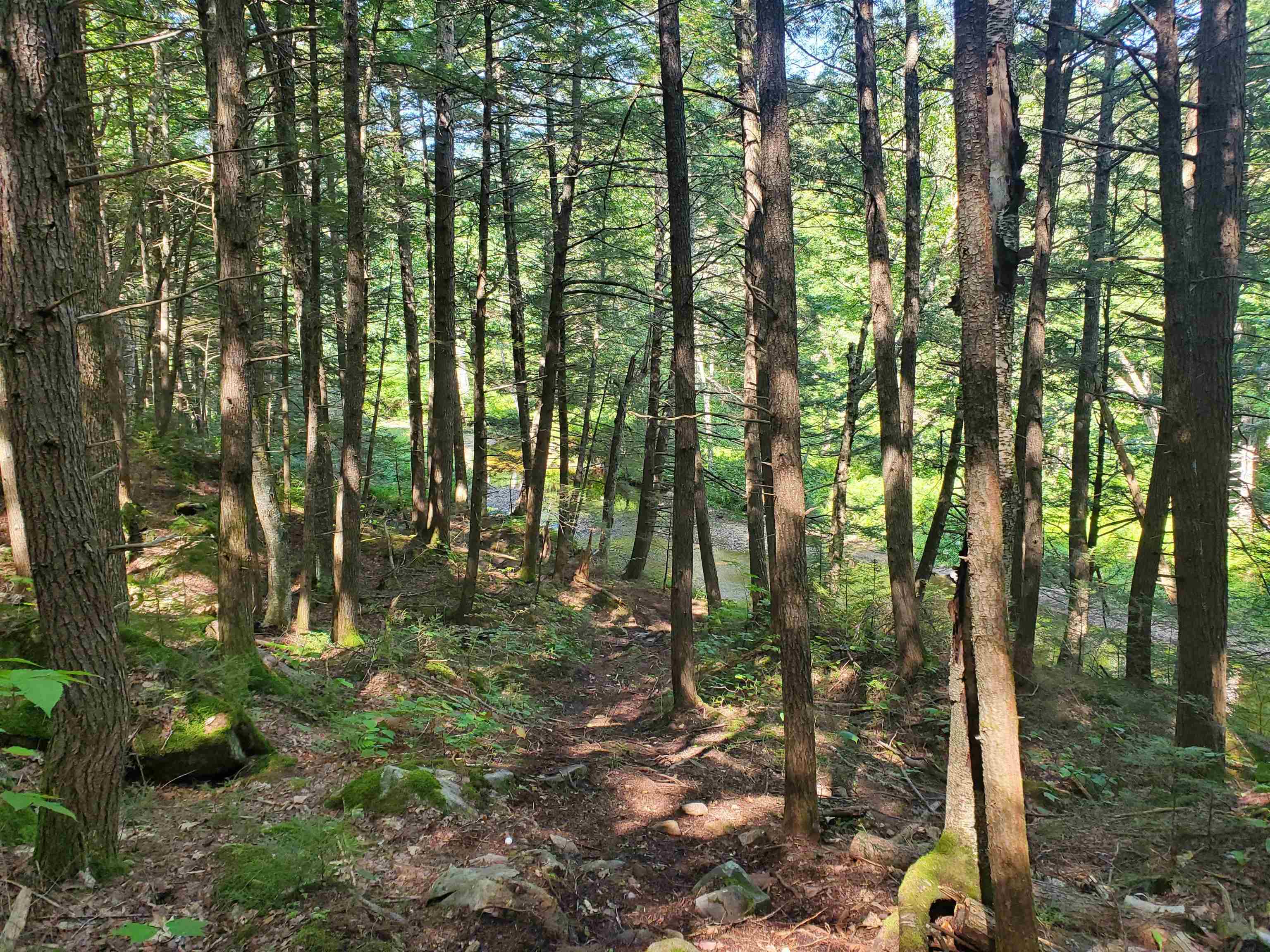 201 Hannah Road Sandwich, NH 03259 - Photo 35 of 39