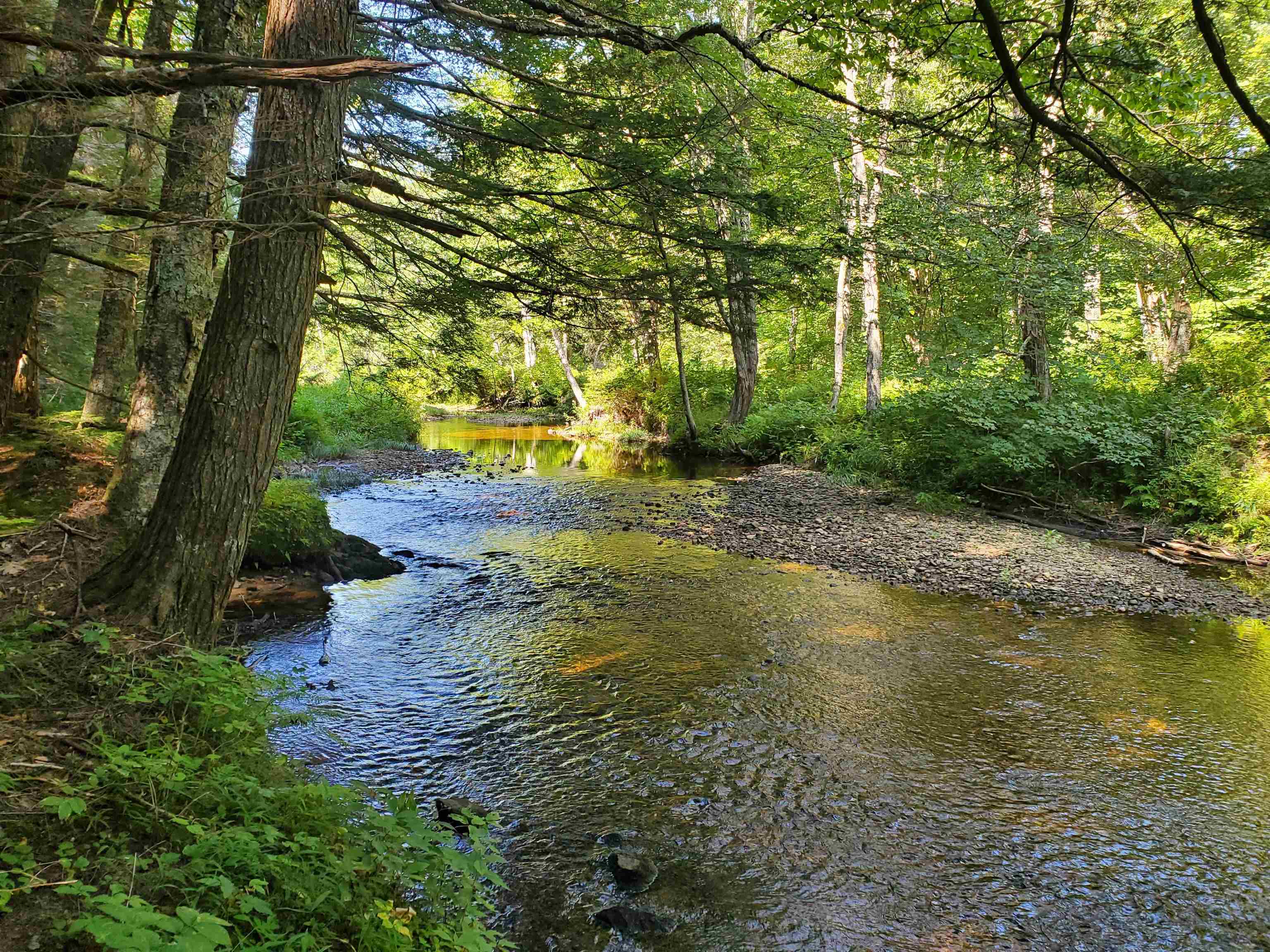 201 Hannah Road Sandwich, NH 03259 - Photo 36 of 39