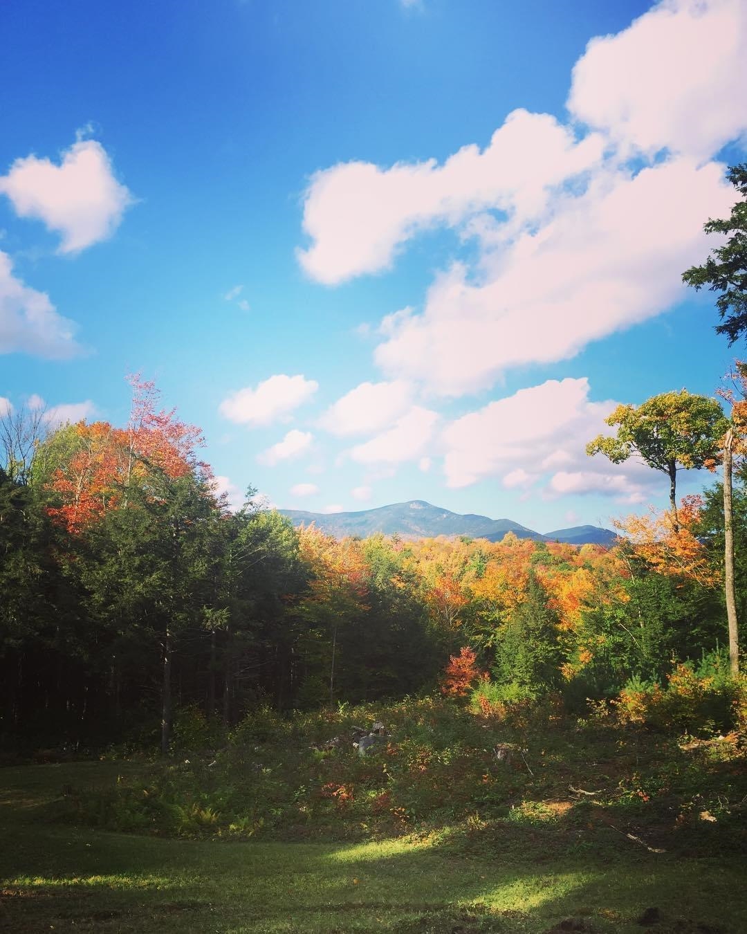 201 Hannah Road Sandwich, NH 03259 - Photo 39 of 39