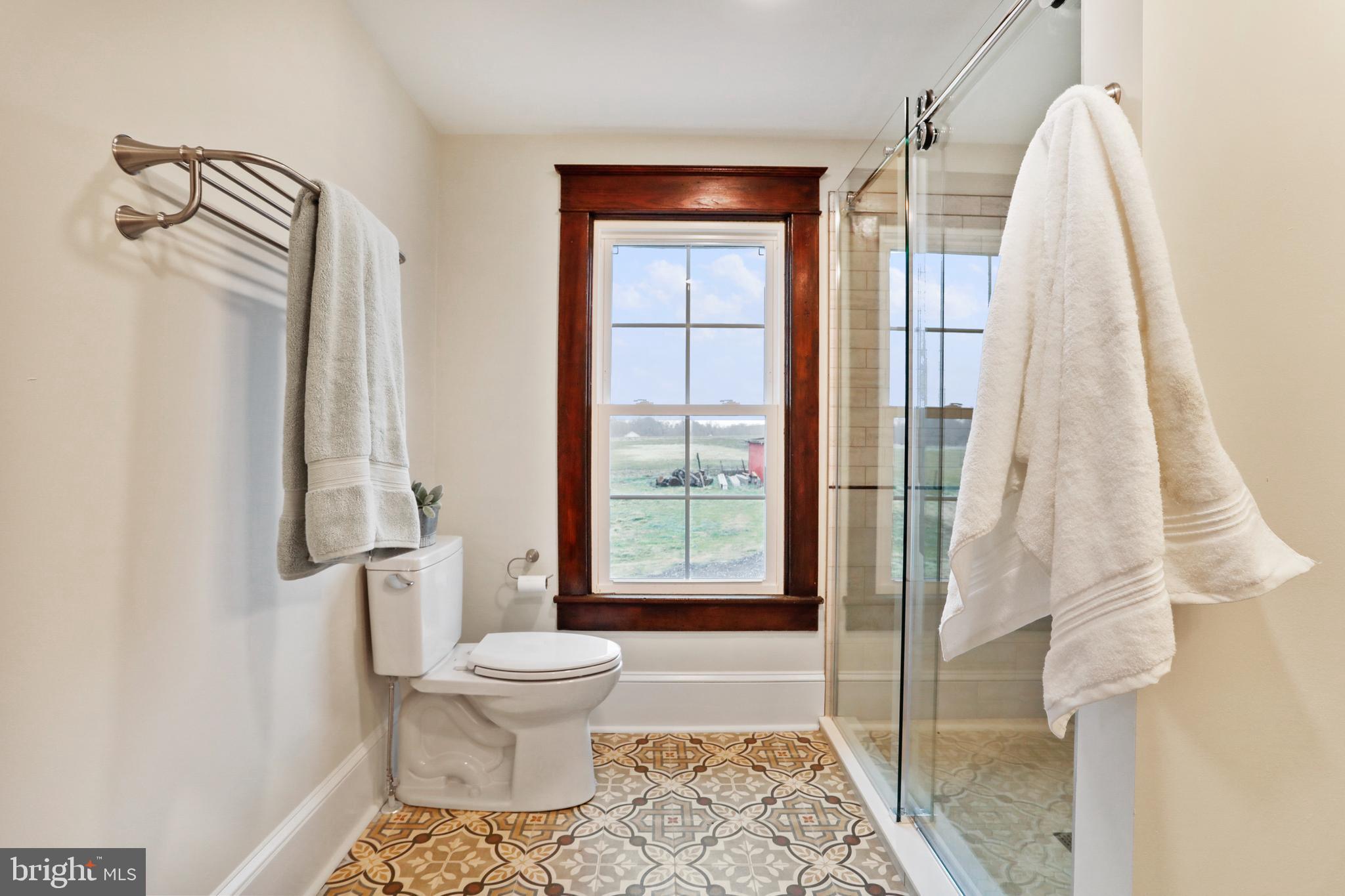 385 Fairview Road Woodstock, VA 22664 - Photo 39 of 55 Primary bath
