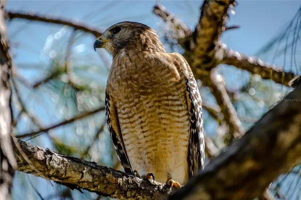 $459,900 | 4912 Charles Partin Drive, Parrish, FL 34219