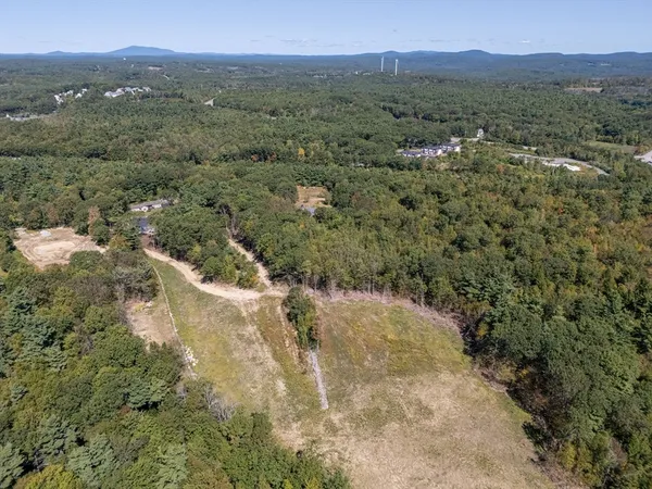 a view of a mountain with a forest