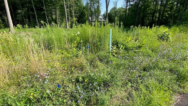 $15,000 | 45 O'Brien Glenway, Oswego, NY 13126