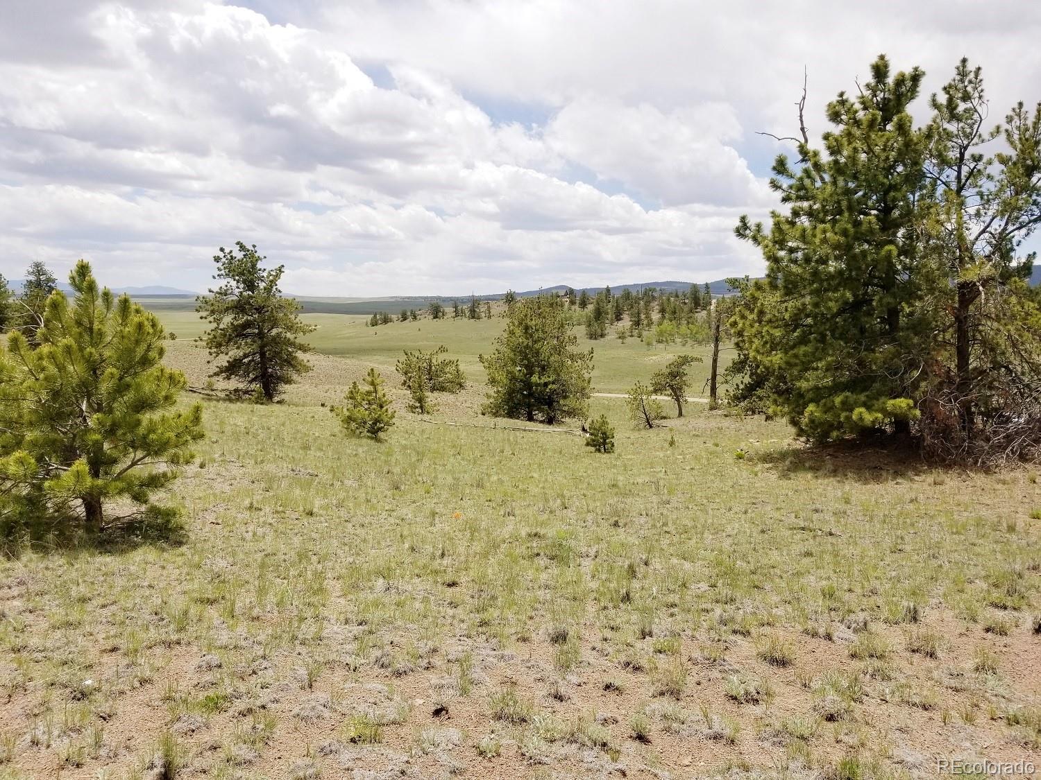 940 Pack Saddle Road Hartsel, CO 80449 - Photo 4 of 15 Gallery Image 4