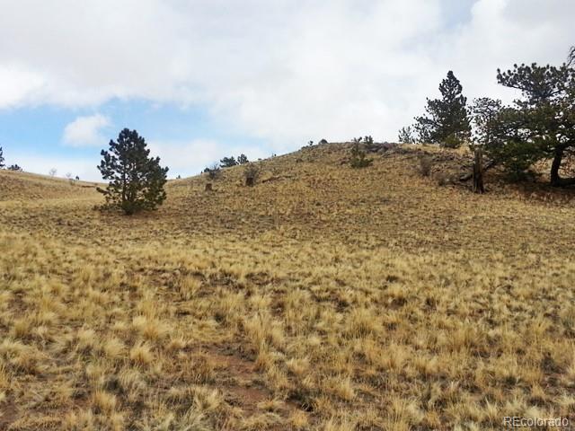 940 Pack Saddle Road Hartsel, CO 80449 - Photo 5 of 15 Gallery Image 5