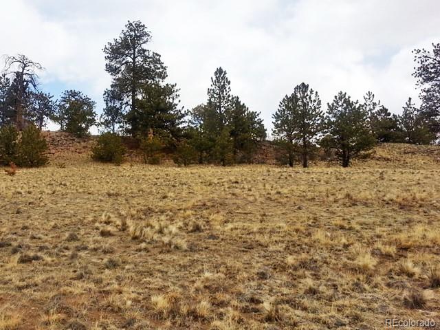 940 Pack Saddle Road Hartsel, CO 80449 - Photo 9 of 15 Gallery Image 9