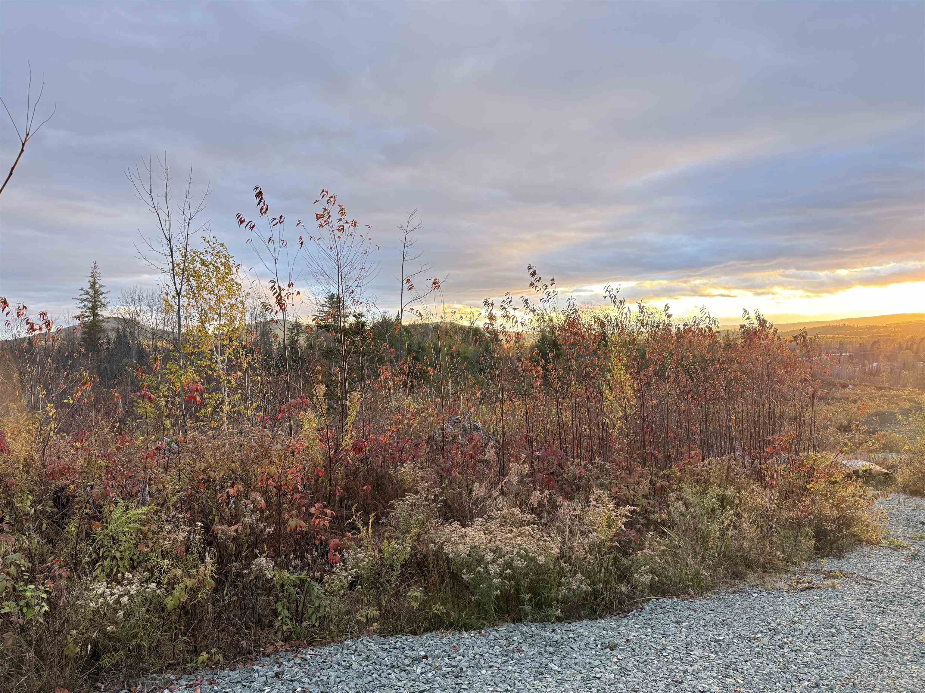 Lot 12 Page Hill Road Lancaster, NH 03584 - Photo 7 of 7