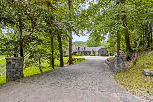 a view of a street with large trees