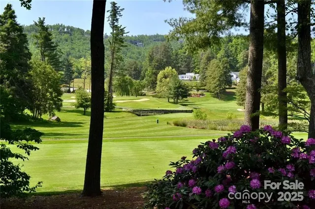 a view of a flower in a yard with potted plants