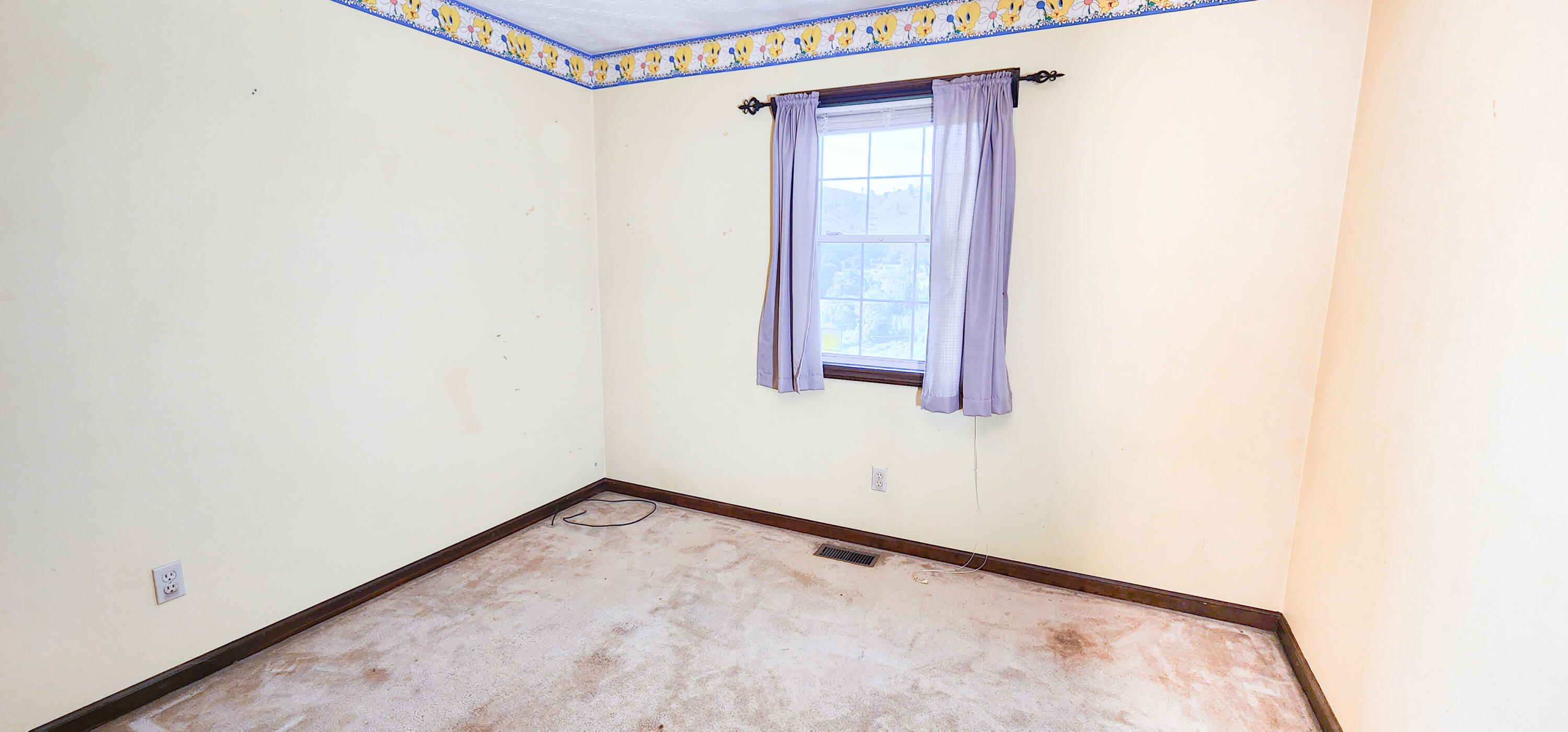 324 Willow Brook Drive Rosedale, VA 24280 - Photo 14 of 39 20230901_100440