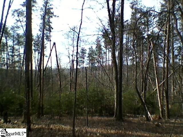 16 Renard Road Tryon, NC 28782 - Photo 1 of 4