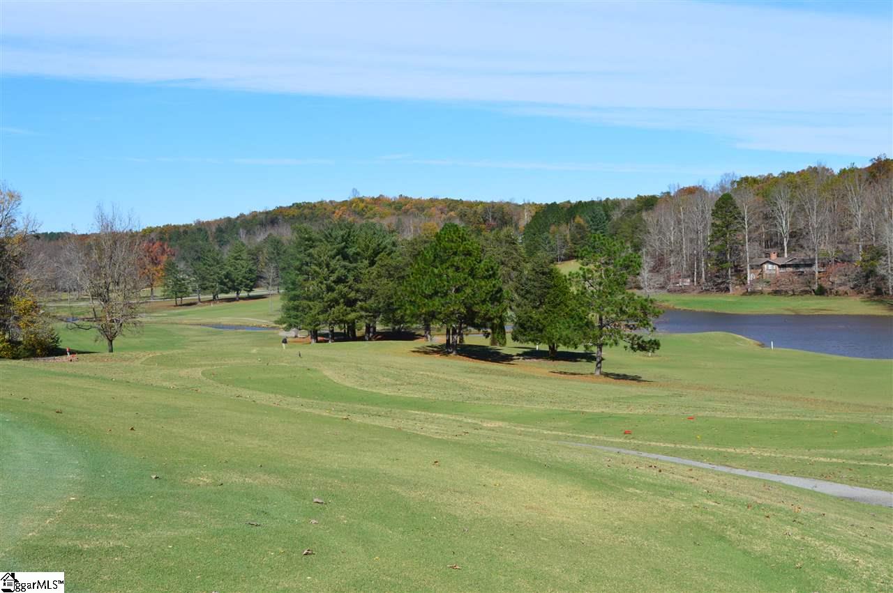 16 Renard Road Tryon, NC 28782 - Photo 4 of 4