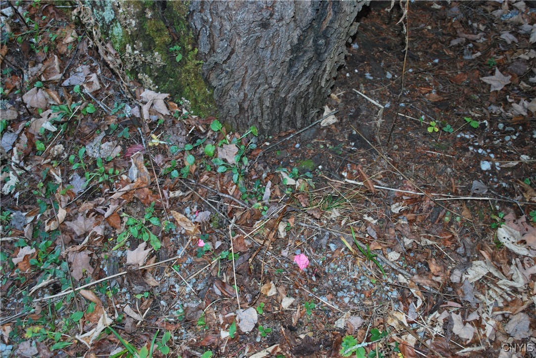 0 Fern Cliff Road Remsen, NY 13438 - Photo 12 of 31