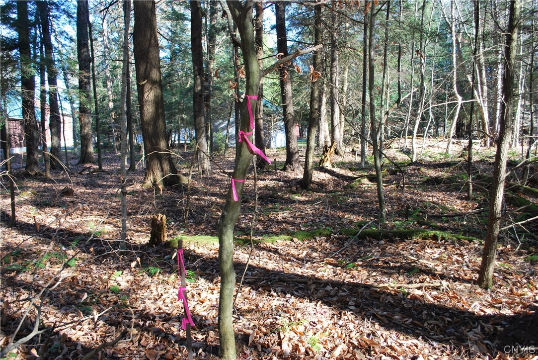 0 Fern Cliff Road Remsen, NY 13438 - Photo 15 of 31