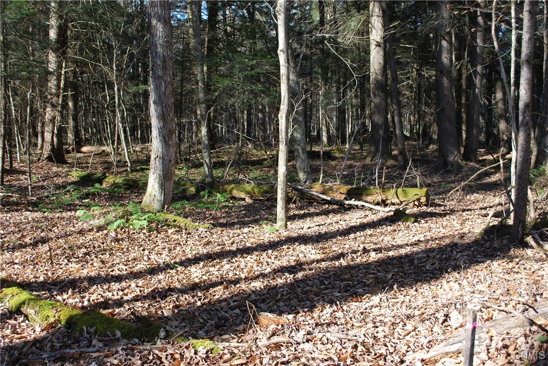 0 Fern Cliff Road Remsen, NY 13438 - Photo 16 of 31