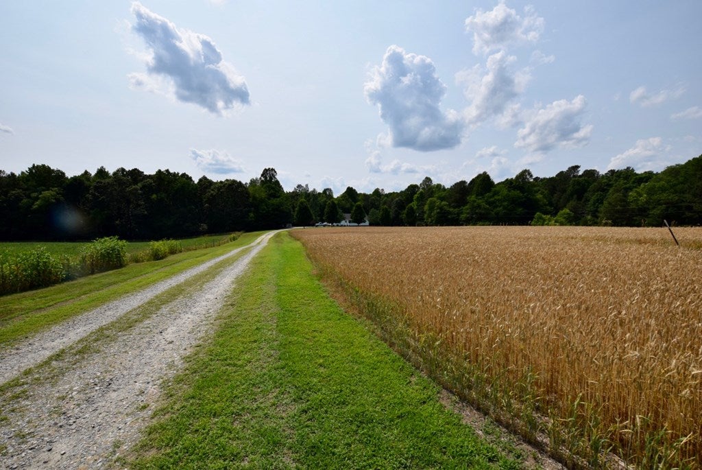 2854 Brunswick Road Blackstone, VA 23824 - Photo 47 of 47 Gallery Image 47