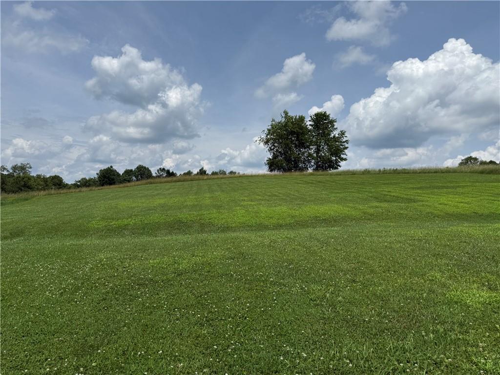 1921 McIntyre Road Shelocta, PA 15774 - Photo 20 of 25 13 Acres