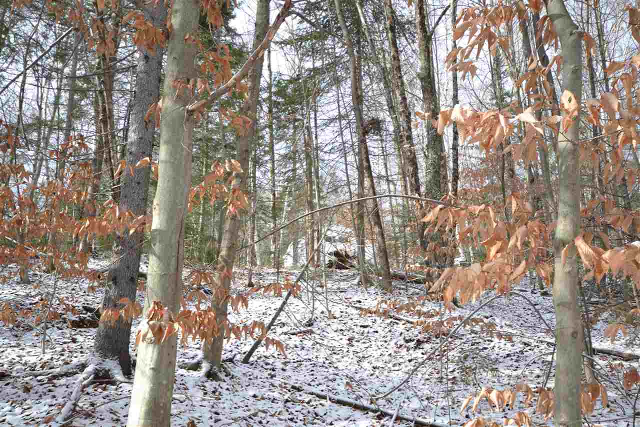 0 Devils Washbowl Road Moretown, VT 05660 - Photo 19 of 21 Gallery Image 19