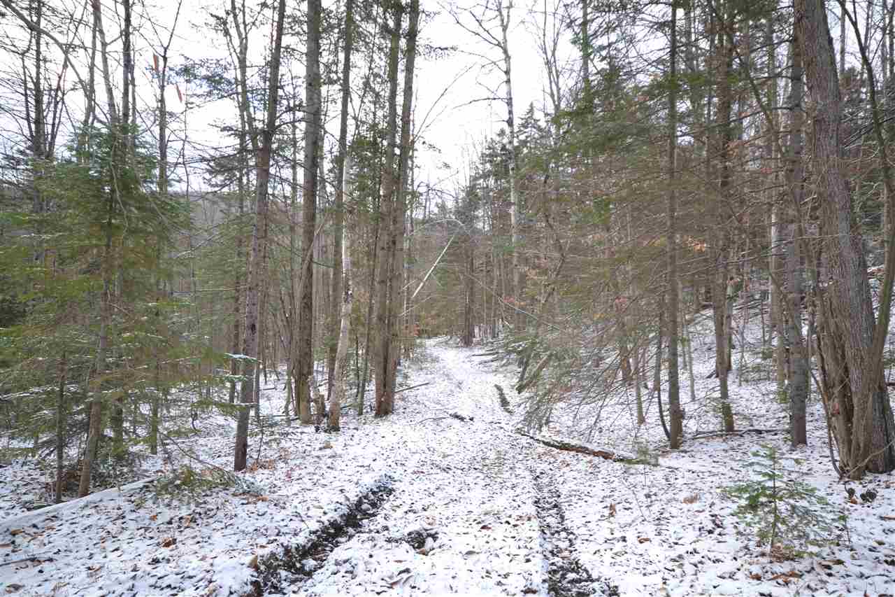 0 Devils Washbowl Road Moretown, VT 05660 - Photo 10 of 21 Gallery Image 10