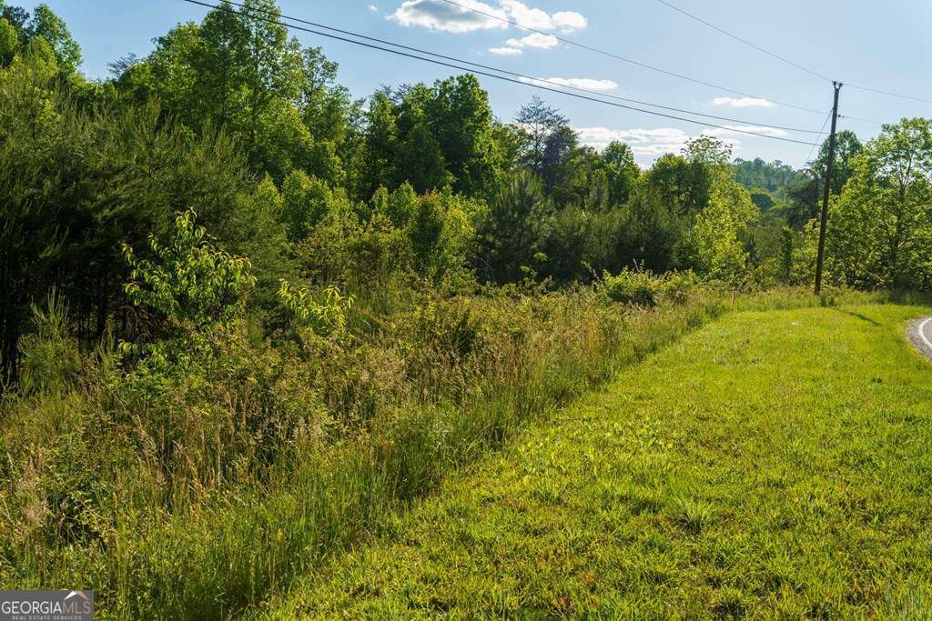 1 West Gum Log Road Warne, NC 28909 - Photo 17 of 26