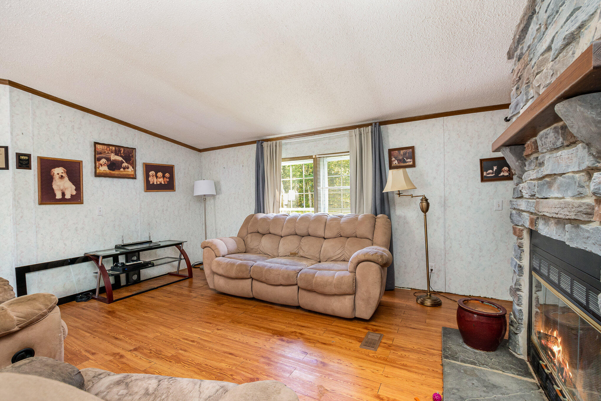 Gallery Image 7