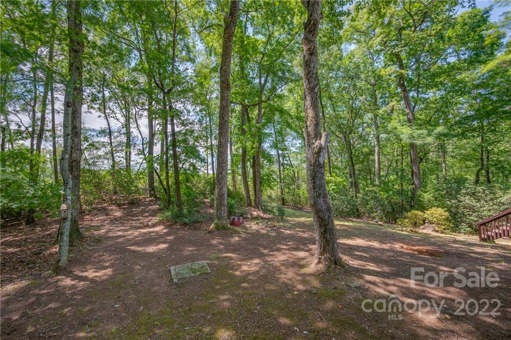 54 Mahler Lane Tryon, NC 28782 - Photo 37 of 44 Gallery Image 37