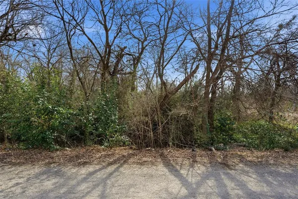 a view of a forest with trees
