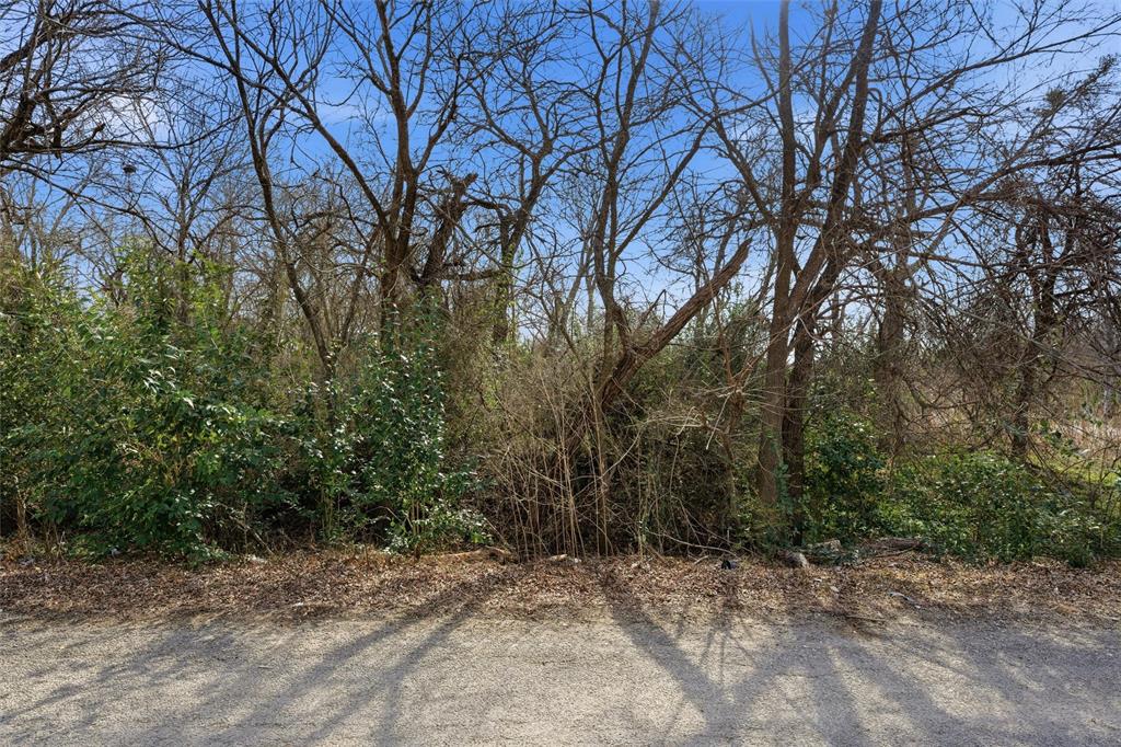 76 Ave G Moody, TX 76557 - Photo 2 of 10 a view of a forest with trees