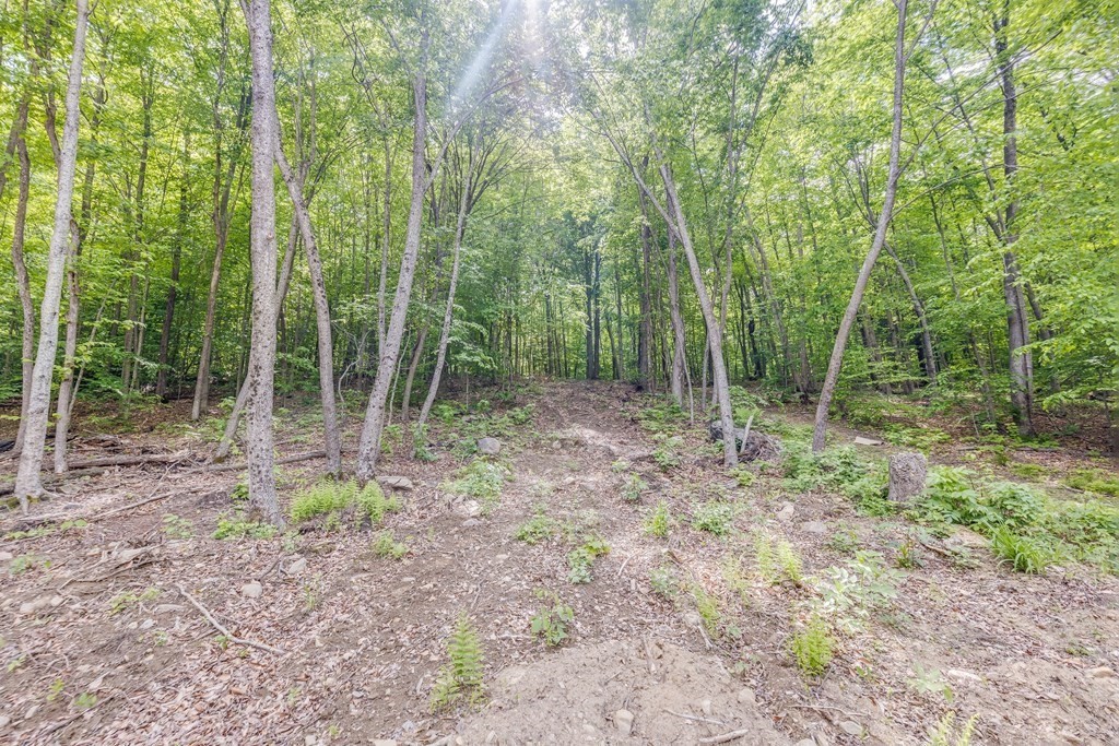 128 Goss Hill Road Huntington, MA 01050 - Photo 31 of 38
