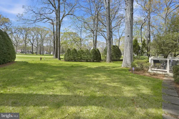 a tall tree in middle of green field