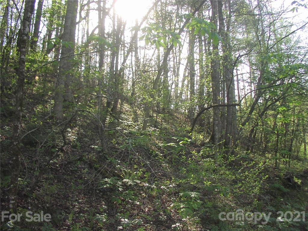 3290 Rose Creek Road, Unit 2 Morganton, NC 28655 - Photo 7 of 10 Gallery Image 7