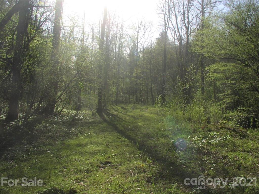 3290 Rose Creek Road, Unit 2 Morganton, NC 28655 - Photo 9 of 10 Gallery Image 9