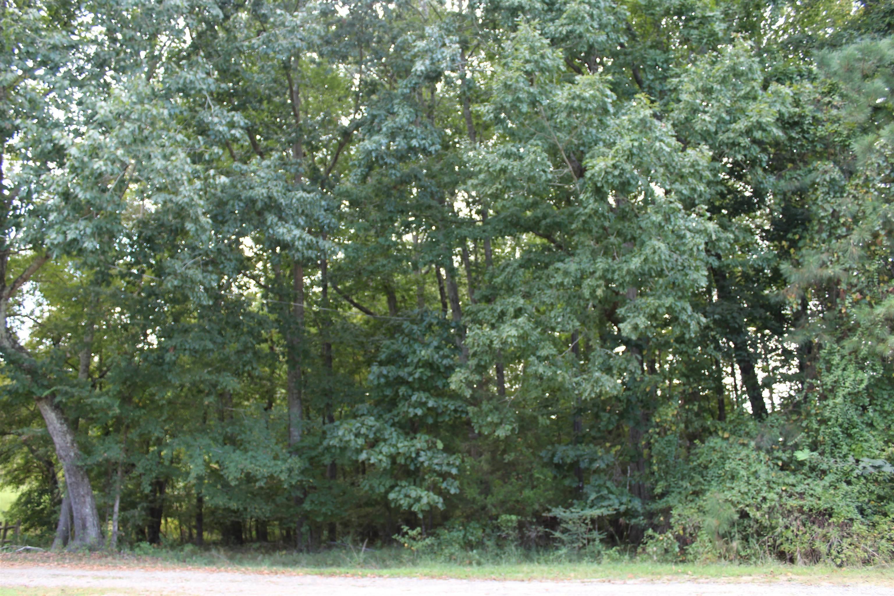 3559 Deerfield Road Stem, NC 27581 - Photo 3 of 5