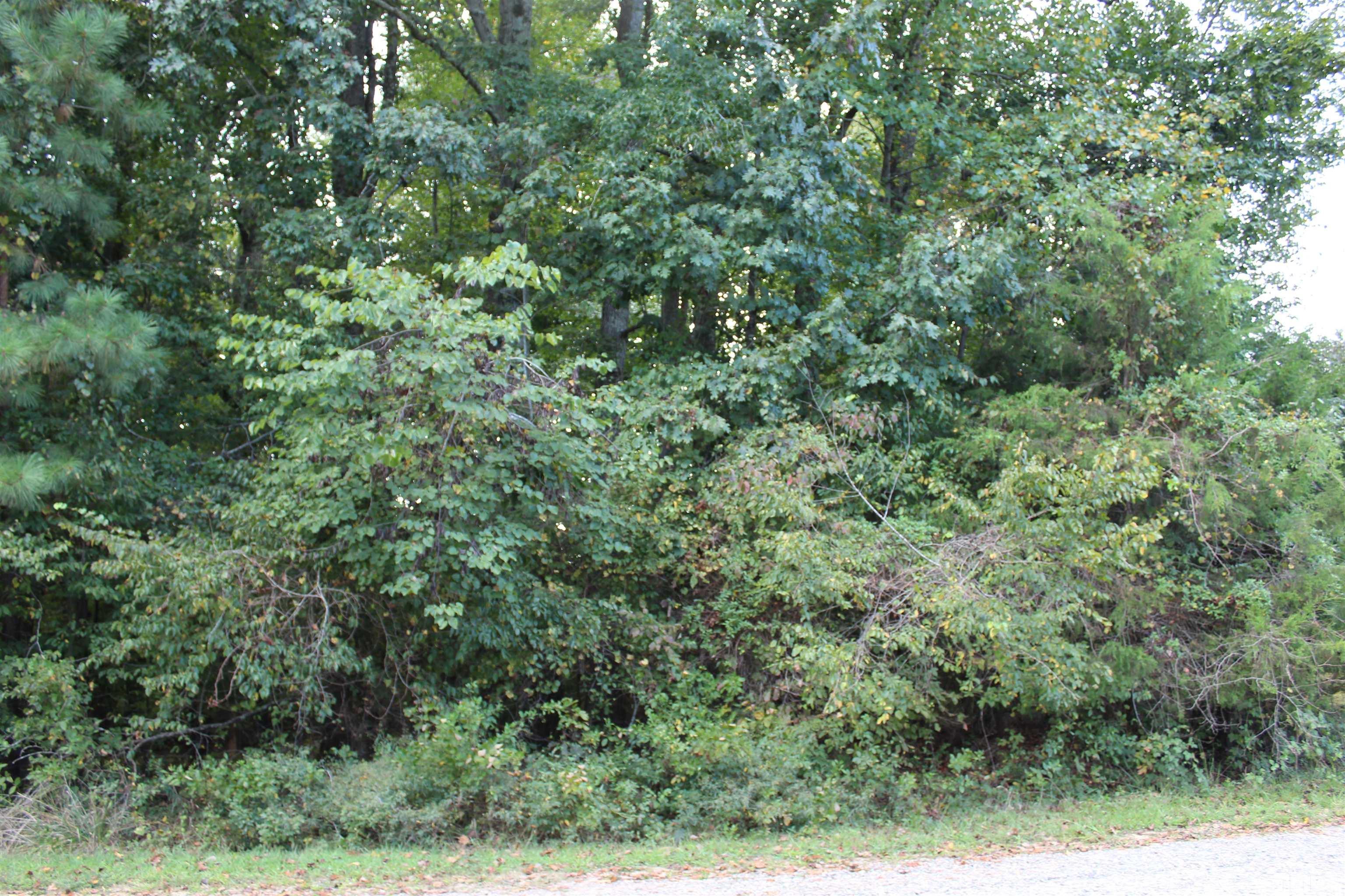3559 Deerfield Road Stem, NC 27581 - Photo 5 of 5