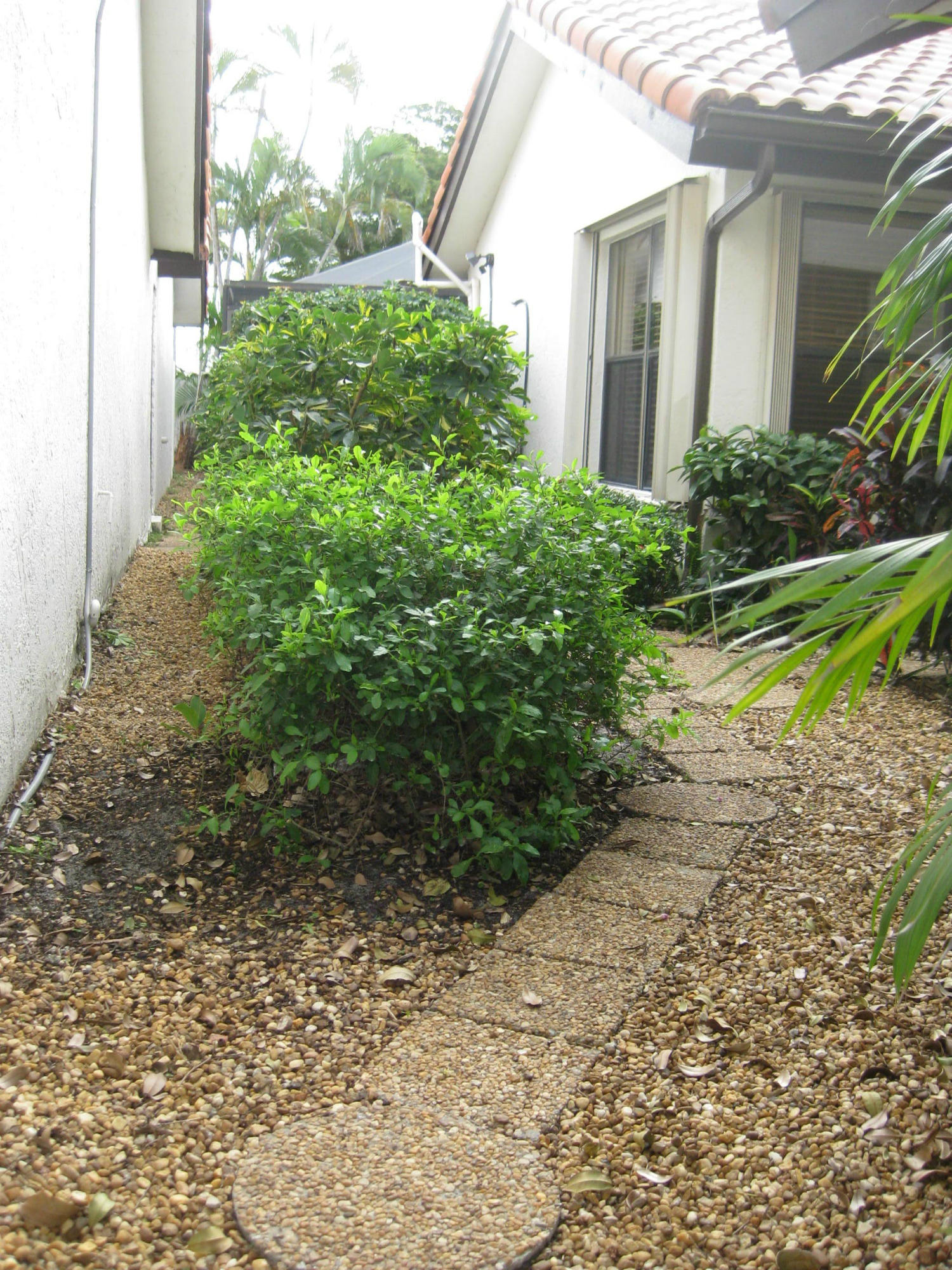 7736 Solimar Circle Boca Raton, FL 33433 - Photo 8 of 14 Pathway to private pool