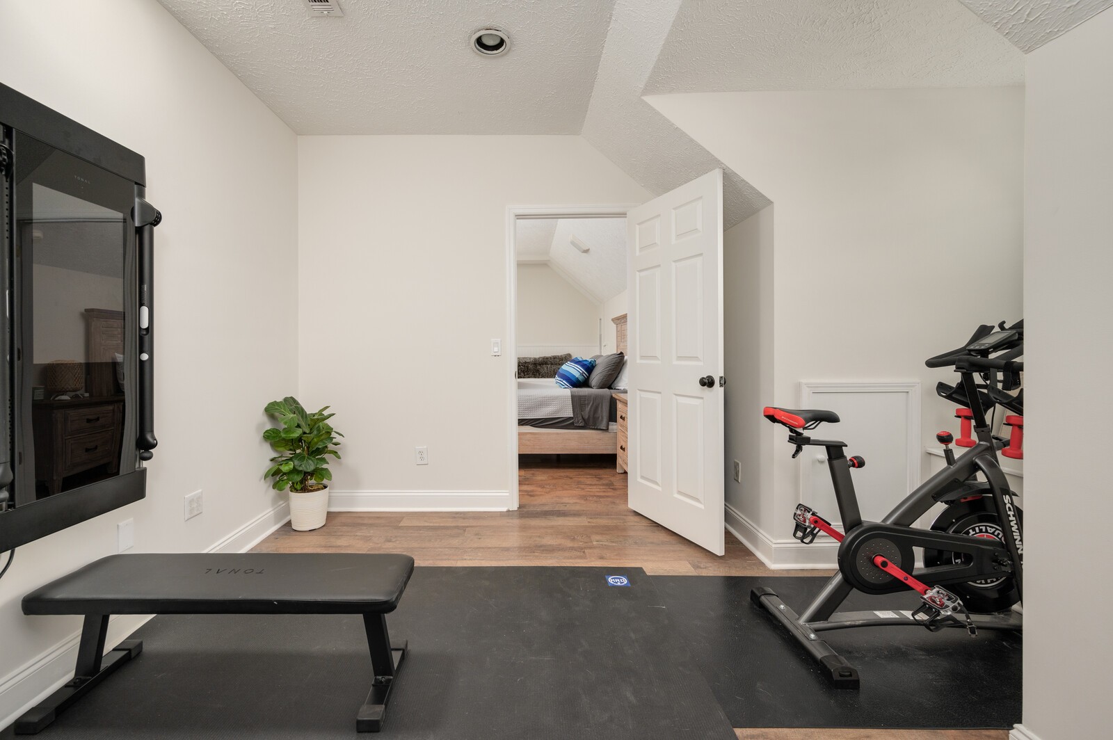 1123 Bramble Trail Murfreesboro, TN 37129 - Photo 39 of 60 a living room with furniture and a potted plant