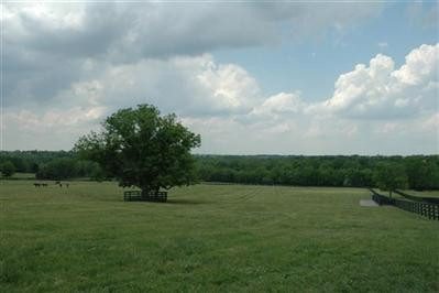 0 Kidds Mill Road Versailles, KY 40383 - Photo 10 of 29 Photo 10