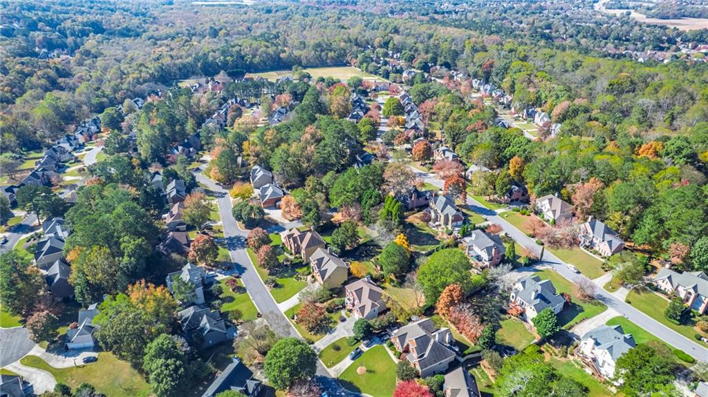 1355 Chattahoochee Run Drive Suwanee, GA 30024 - Photo 49 of 57