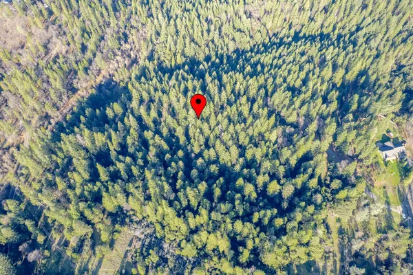 a view of mountain with trees