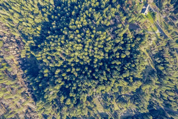 a view of a houses with a lush green forest