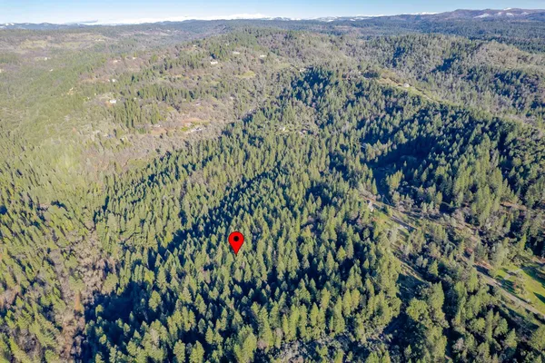 a view of a dry yard