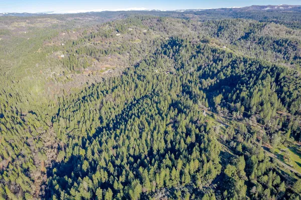 a view of a lush green field