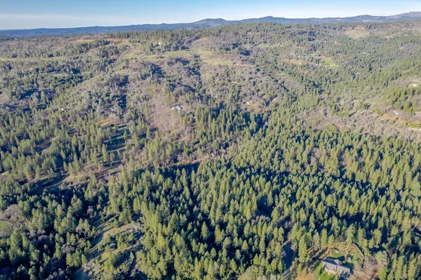 a view of a lush green field with a tree in the background
