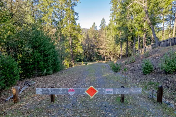a backyard view with couple of trees