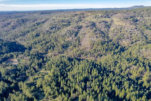 a view of a lush green field